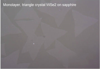 【巨纳】三角形单层二硒化钨（10*10mm）-衬底可选