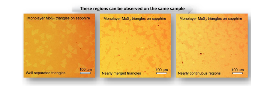 基于蓝宝石衬底的三角形单层二硫化钼-Monolayer MoS2 Triangles on c-cut Sapphire