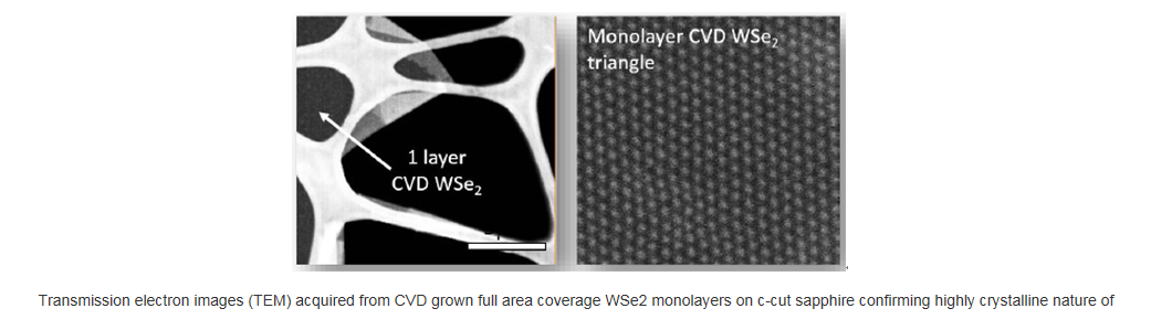 基于蓝宝石衬底的全区域覆盖的单层二硒化钨-Full Area Coverage Monolayer WSe2 on c-cut Sapphire