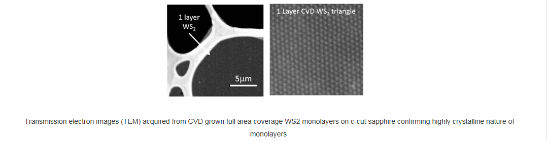 基于蓝宝石衬底的全区域覆盖的单层二硫化钨-Full Area Coverage Monolayer WS2 on c-cut Sapphire