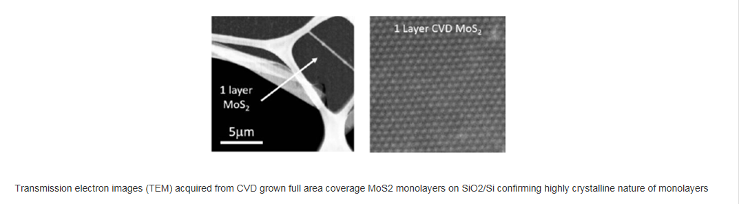 基于二氧化硅衬底的全区域覆盖的单层二硫化钼-Full Area Coverage Monolayer MoS2 on SiO2/Si