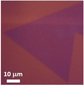 单层二硫化钨薄膜 WS₂(Tungsten Disulfide)-Monolayer