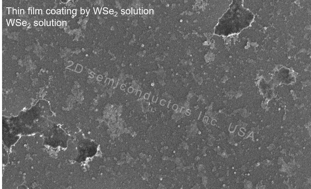 Monolayer WSe2 Solution