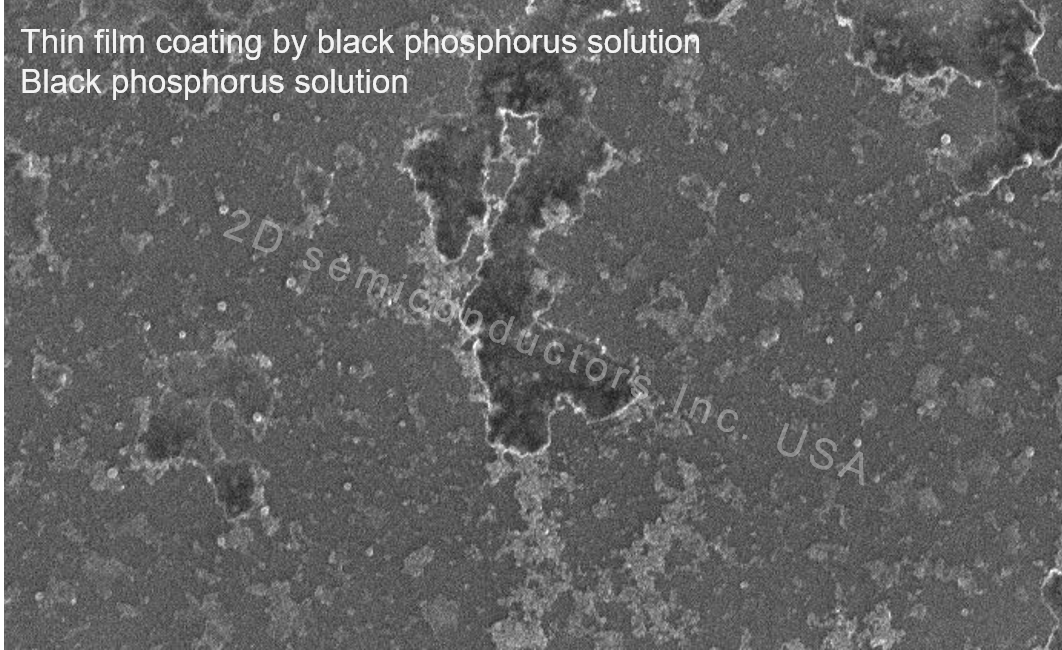 Monolayer Black Phosphorus Solution